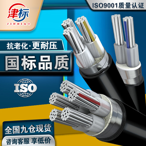 国标铝芯电缆线2 3 5芯铝线电线16 25 35 50 70平方三芯铝芯电线