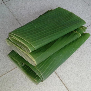 包粽子糍粑芭蕉叶新鲜香蕉叶子广东现摘清明果青团菜肴摆盘包烧鸡