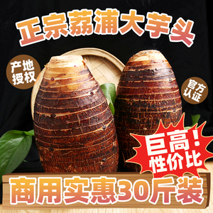 正宗荔浦芋头商用批发30斤新鲜芋头广西特产香芋槟榔芋紫藤芋毛芋