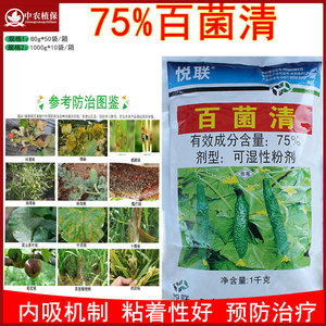 上海悦联75%百菌清黄瓜霜霉病农药杀菌剂正品包邮保护性强耐雨水