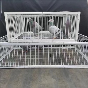 全自动户外捕鸽笼信鸽抓鸡天落笼捕鸽神器加密只进不出抓野鸽子笼