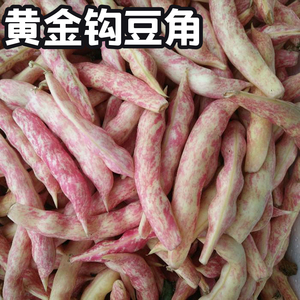 速冻东北勾勾黄油豆角黄金勾八月忙挤豆角当季农家新鲜鼓豆角包邮