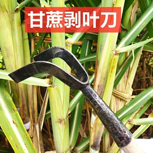 剥甘蔗叶神器农用修甘蔗叶神器刀拨甘蔗叶剥叶机手工手动工具收扒
