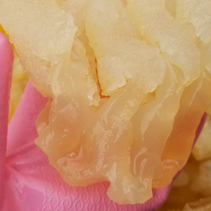 3斤桶装 野生海蜇头鸡爪海蜇头 八爪海蜇 非即食海蜇皮凉拌菜海鲜