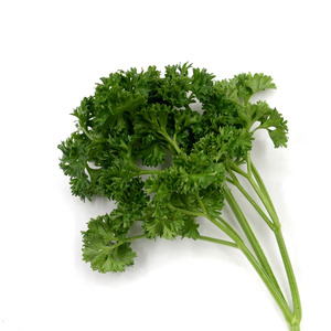 250g荷兰芹 新鲜西餐蔬菜法国香菜香芹洋芫荽旱芹菜西餐香料包邮