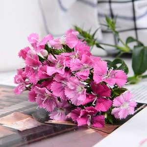 云南基地直发鲜切花相思梅石竹青梅鲜花婚庆家庭办公室插花水养