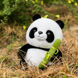 抱着竹子笋熊猫公仔玩偶四川成都小熊猫基地纪念品仿生毛绒玩具女