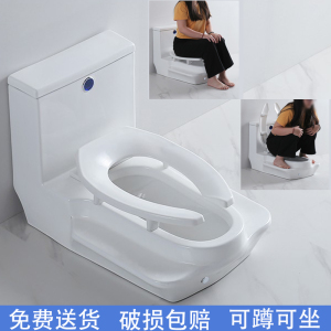 蹲坐两用马桶一体