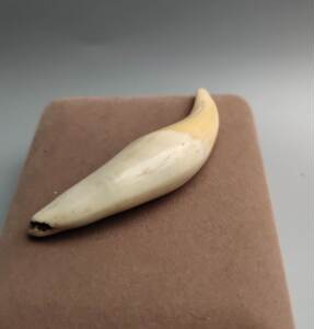 [兰]大猫牙树脂虎牙挂件吊坠项坠挂坠兽牙礼品护主高仿虎牙