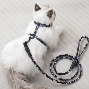 猫咪牵引绳防挣脱外出专用猫绳子缅因布偶德文猫日式背带遛猫链子
