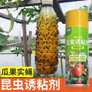 瓜果实蝇诱粘剂针蜂引诱剂果蝇诱粘剂果园昆虫苍蝇黄板诱捕器神器
