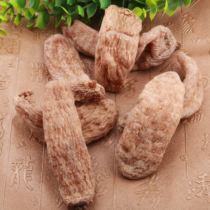 云南丽江红天麻 12个一斤野生血天麻 新鲜冬麻非昭通天麻雪天麻