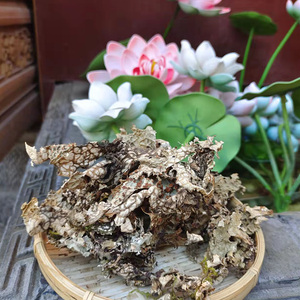 云南大理特产野生树皮菜野菜树皮树花凉拌菜青蛙皮原始森林树蝴蝶