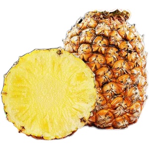 海南金钻17号无眼手撕凤梨赛香水菠萝树上自然熟新鲜水果10斤