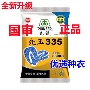 登海先锋先玉335玉米种高产大棒抗病抗旱耐盐碱南方北方优选种衣