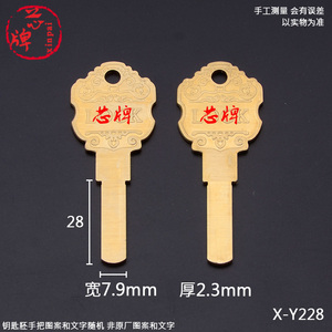 Y228荣固平板钥匙胚平板多轨道外装门锁超C级LOCK钥匙坯 芯牌锁匠
