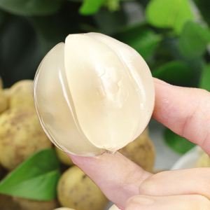 罕见水果 3斤泰国进口龙宫果新鲜热带整箱孕妇龙贡果顺丰包邮稀有