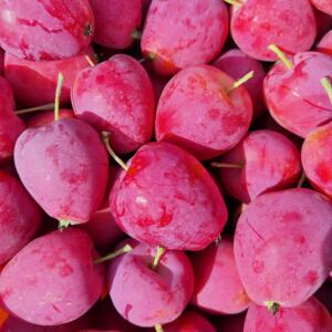 新疆伊犁香妃海棠果/鸡心果4斤礼盒装高甜低酸嘎嘣脆品冠农优选