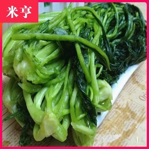 10斤装绿雪菜东台优质咸菜 绿咸菜 绿色雪里蕻新鲜腌制下饭菜酱菜