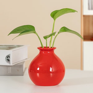 创意水养绿萝器皿陶瓷盆器水培小花瓶摆件客厅插花插绿植鲜花容器