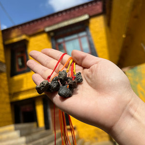 西藏桑耶寺莲花生大师天降金刚火雨石 天然石头打孔穿绳吊坠