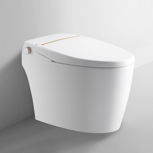 【云岩】惠达变频即热智能马桶e3智能一键操控静音省水 hde3003t