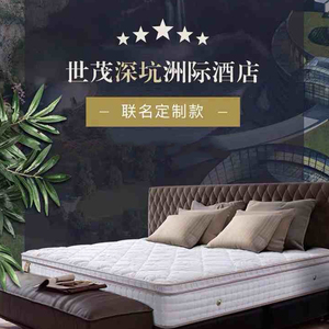 金可儿床垫家用环保健康柔软舒适风格质感高品质 金邸plus5人付款0