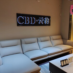 cbd云豹系列肤感皮亲肤材质沙发高密度海绵填充百搭y132|呈贡红星