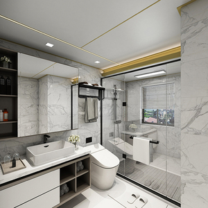 法狮龙集成吊顶客厅