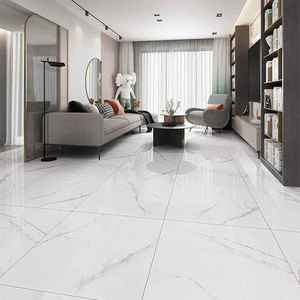 东鹏瓷砖 网红全抛釉防滑防污硬度高客厅地砖背景墙砖卫生间