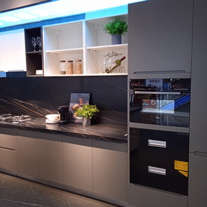 亚丹家居厨房定制整体厨房柜台展示柜冰柜冰箱冷柜商用玻璃集成灶