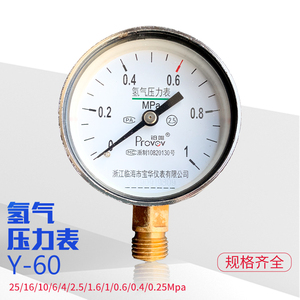 铂唯y-60氢气压力表减压器h2表头(0.4/1/1.6/2.5/6/10/25)mpa