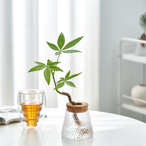 【锤纹玻璃】北欧风高质感创意水培桌面室内办公室客厅植物盆栽