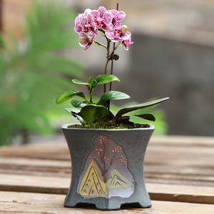 蝴蝶兰专用花盆紫砂复古中国风陶瓷创意吊兰兰花盆景盆栽多肉花盆