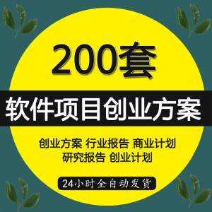 IT互联网行业公司软件项目创业方案程序开发商业计划书模板资料