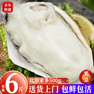 乳山生蚝鲜活6斤 特大生蚝肉即食牡蛎贝新鲜海蛎子10海鲜水产一箱