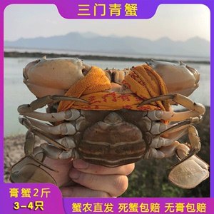 三门青蟹红膏蟹红鲟蝤蠓蟹鲜活特大超大母螃蟹海鲜水产特产礼盒