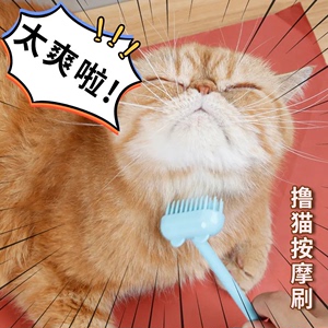 撸猫梳子挠痒痒蹭毛按摩刷人猫互动猫咪解痒神器撸猫耙子