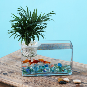 长方形玻璃鱼缸创意透明小型水族箱家用桌面植物水培一体金鱼缸