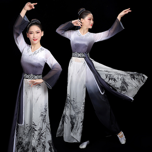 古典舞演出服女飘逸扇子舞纱衣套装水墨色中国风艺考书简舞蹈服装