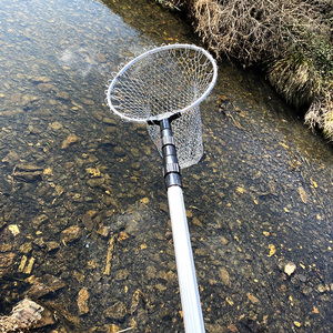 鲫鱼抄网铝合金抄网伸缩杆儿童抄网捞网捞蝴蝶昆虫蜻蜓网兜钓鱼网