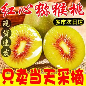 顺丰空运四川蒲江特级红心猕猴桃新鲜水果超甜当季奇异整箱特大果