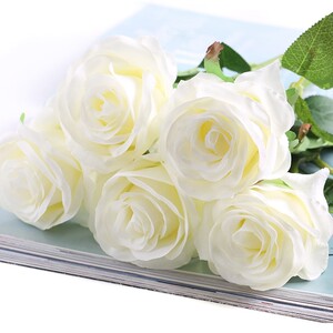 白玫瑰单支