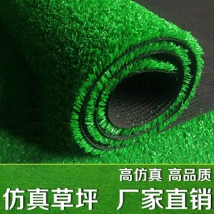 塑胶人工草皮仿真草坪地毯幼儿园室内室外假草坪防真草地塑料 绿