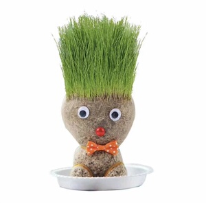 草娃娃创意造型头上长草人小盆栽种植水培桌面可爱趣味
