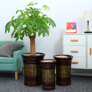 花盆陶瓷特大号中国风古典高款家用客厅种树发财树金钱树绿萝花盆