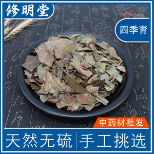 四季青中药中草药