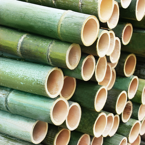 竹筒楠竹毛竹竹竿做粽子模具竹编竹桶蒸饭原材料竹杆竹节大小竹子