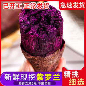 广东沙地紫罗兰紫薯新鲜现挖番薯粉糯香甜地瓜小个红薯带箱10斤