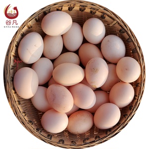 新鲜竹鸡蛋